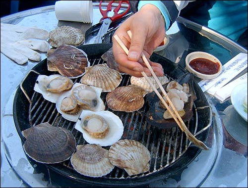 이 손이 누구 손인가? 지금 보이는 게 말로만 듣던 '가리비'라고 합니다. 속살처럼 부드럽고, 그 맛도 일품이었죠? 저것을 초고추장에 찍어 먹으면 둘이 죽어도 모를 정도로 맛있었어요. 